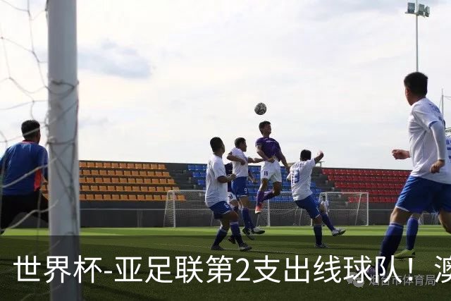 世界杯-亚足联第2支出线球队！澳大利亚0-0巴拉圭获小组第2